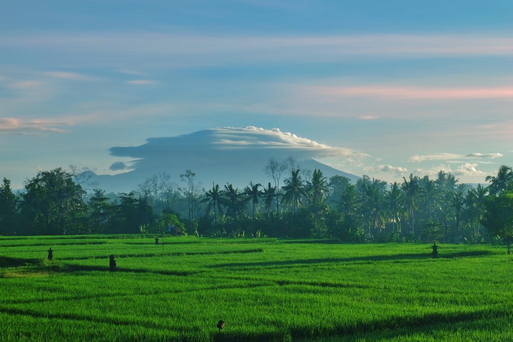 Putra Guest House Ubud Dış mekan fotoğraf