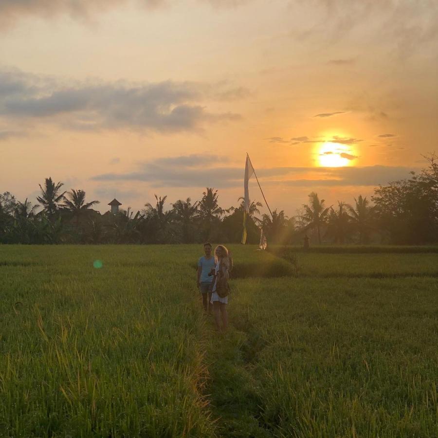 Putra Guest House Ubud Dış mekan fotoğraf